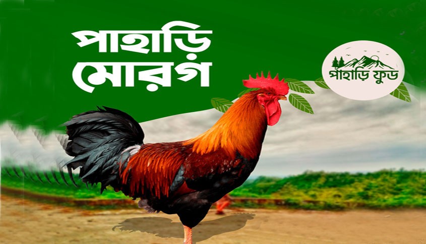 পাহাড়ী মোরগ