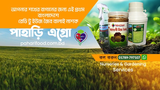 পাহাড়ি এগ্রো